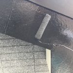 s__4382806