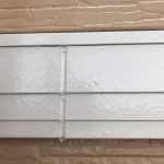 s__4399131