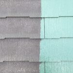S__17506310