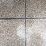 S__17506324
