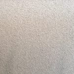 S__31342607